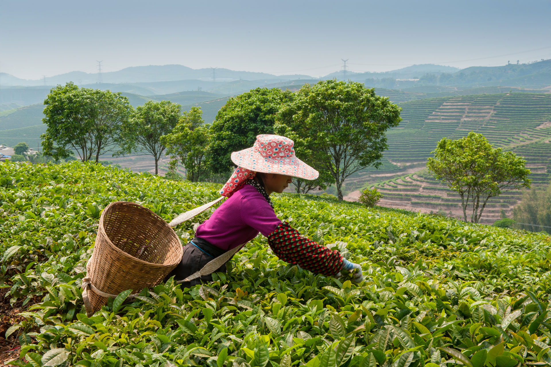 Highlights of Sri Lanka
