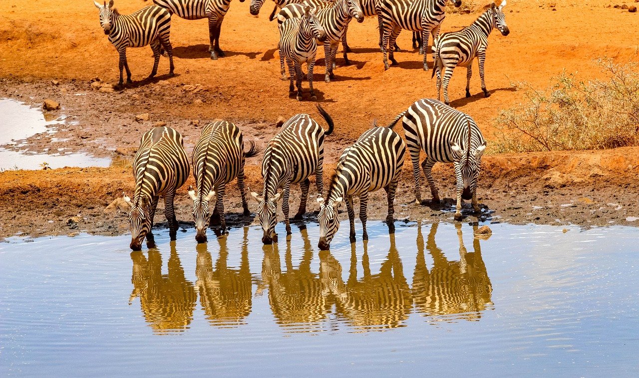 Best of Kenya & Tanzania