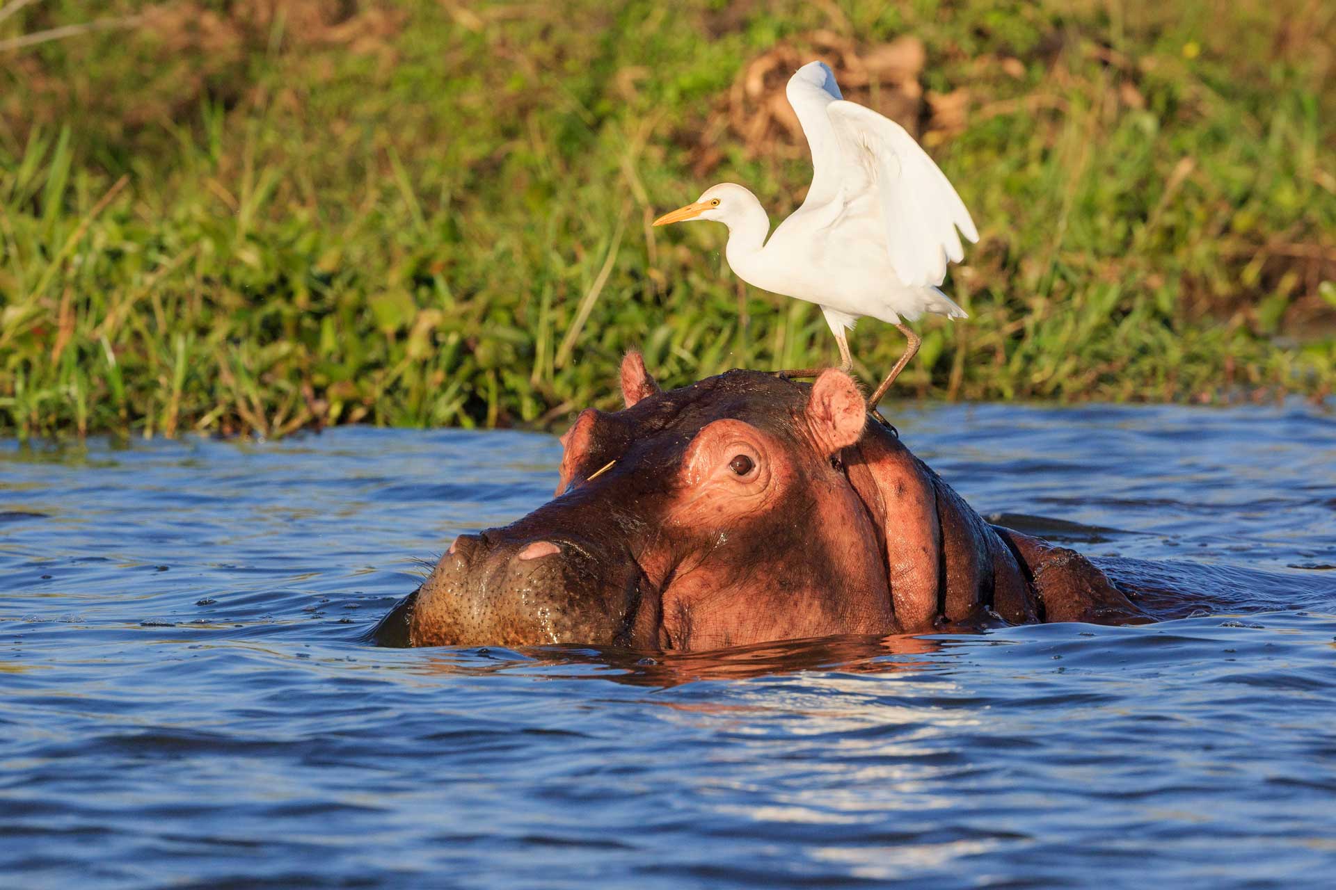 Discover Malawi and Zambia
