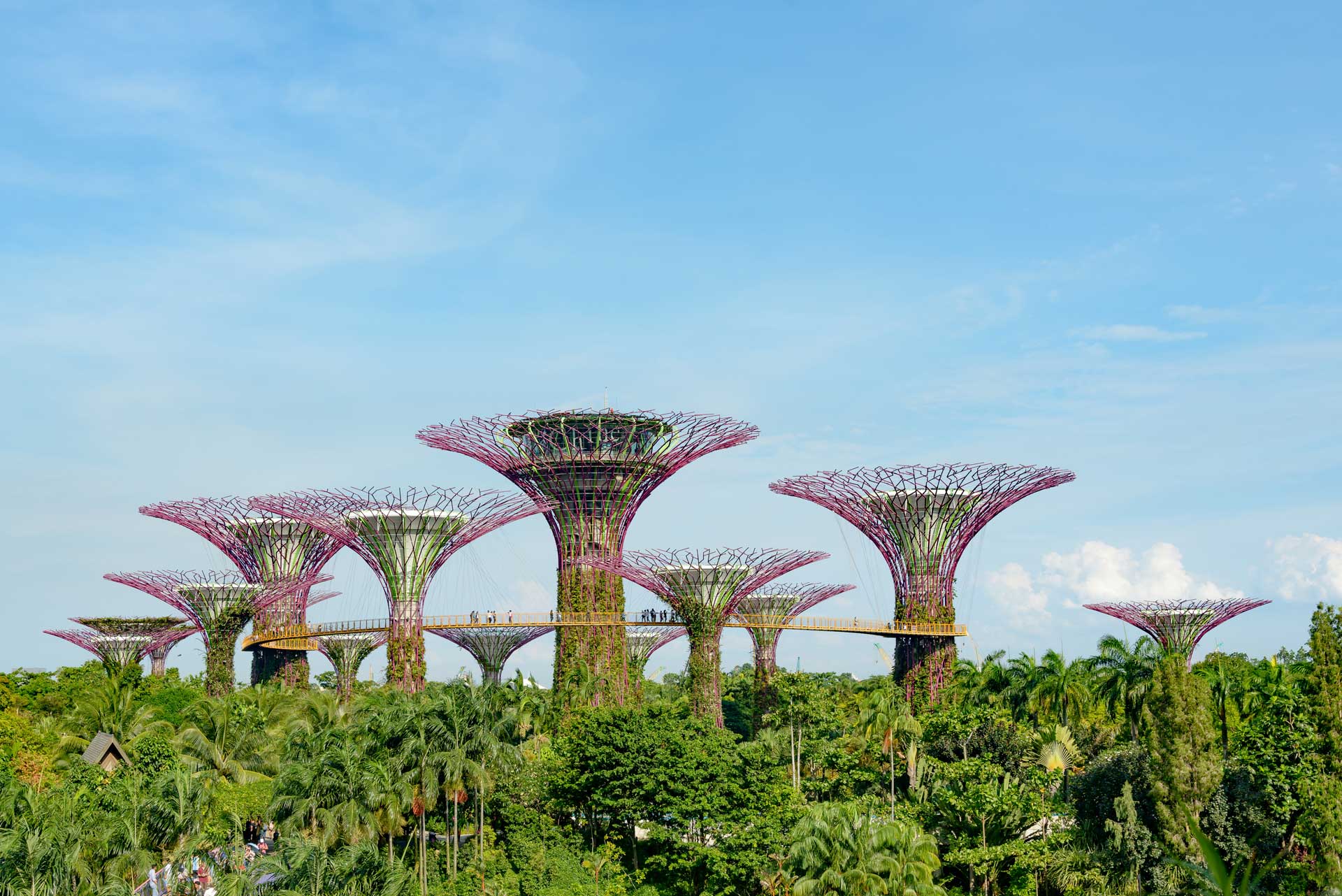 Singapore Bespoke City Break
