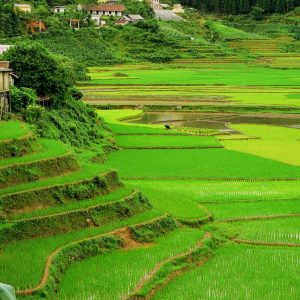 Vietnam Grand Journey